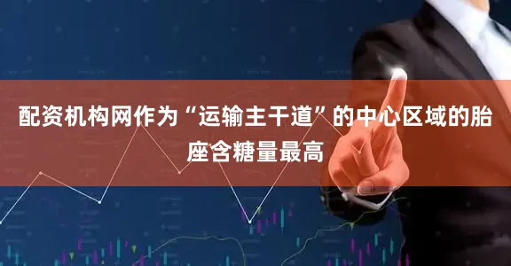 配资机构网作为“运输主干道”的中心区域的胎座含糖量最高